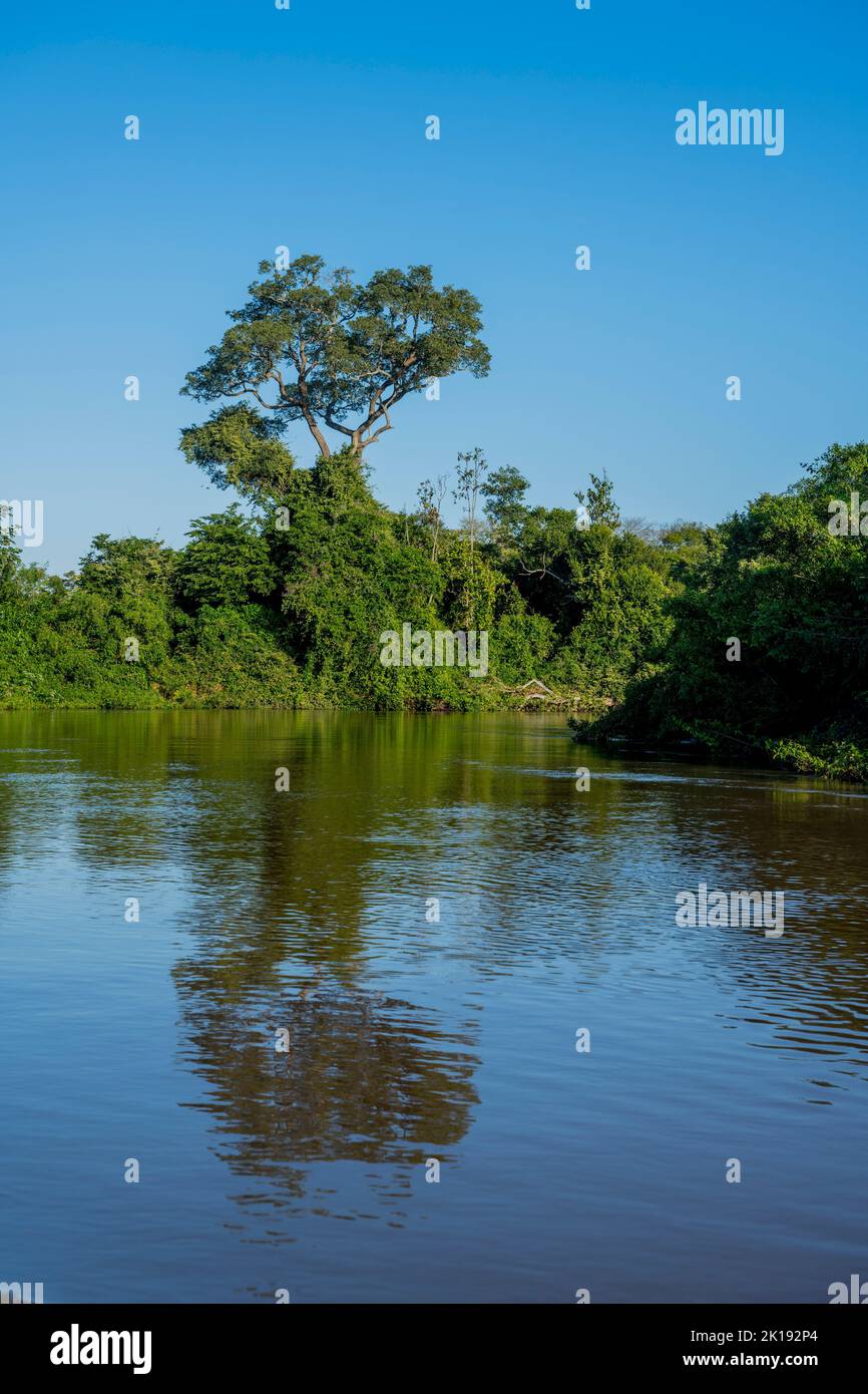 Der Aquidauana Fluss in der Nähe der Aguape Lodge im südlichen Pantanal, Mato Grosso do Sul, Brasilien. Stockfoto