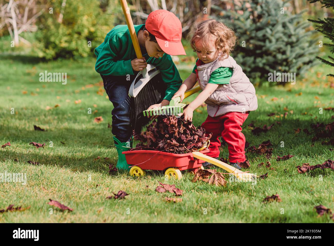 Kinder, die vor dem Winter Herbstblätter in den Schubkarren-Putzgarten rauchen Stockfoto
