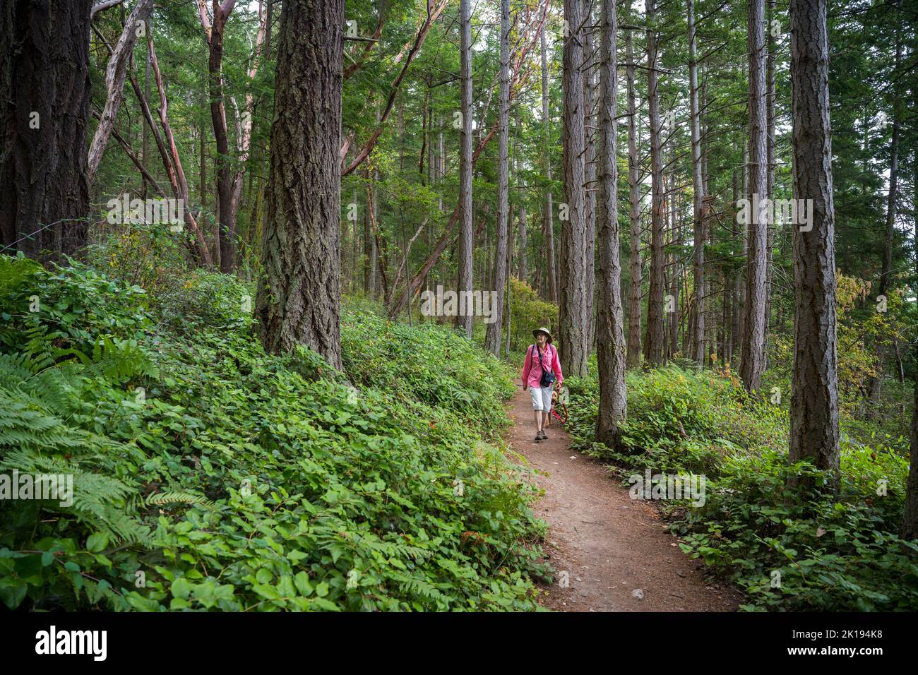 Eine Frau (Model veröffentlicht) läuft auf dem Loop Trail im Wald des Camano Island State Park auf Camano Island, Island County, Washington State, USA Stockfoto