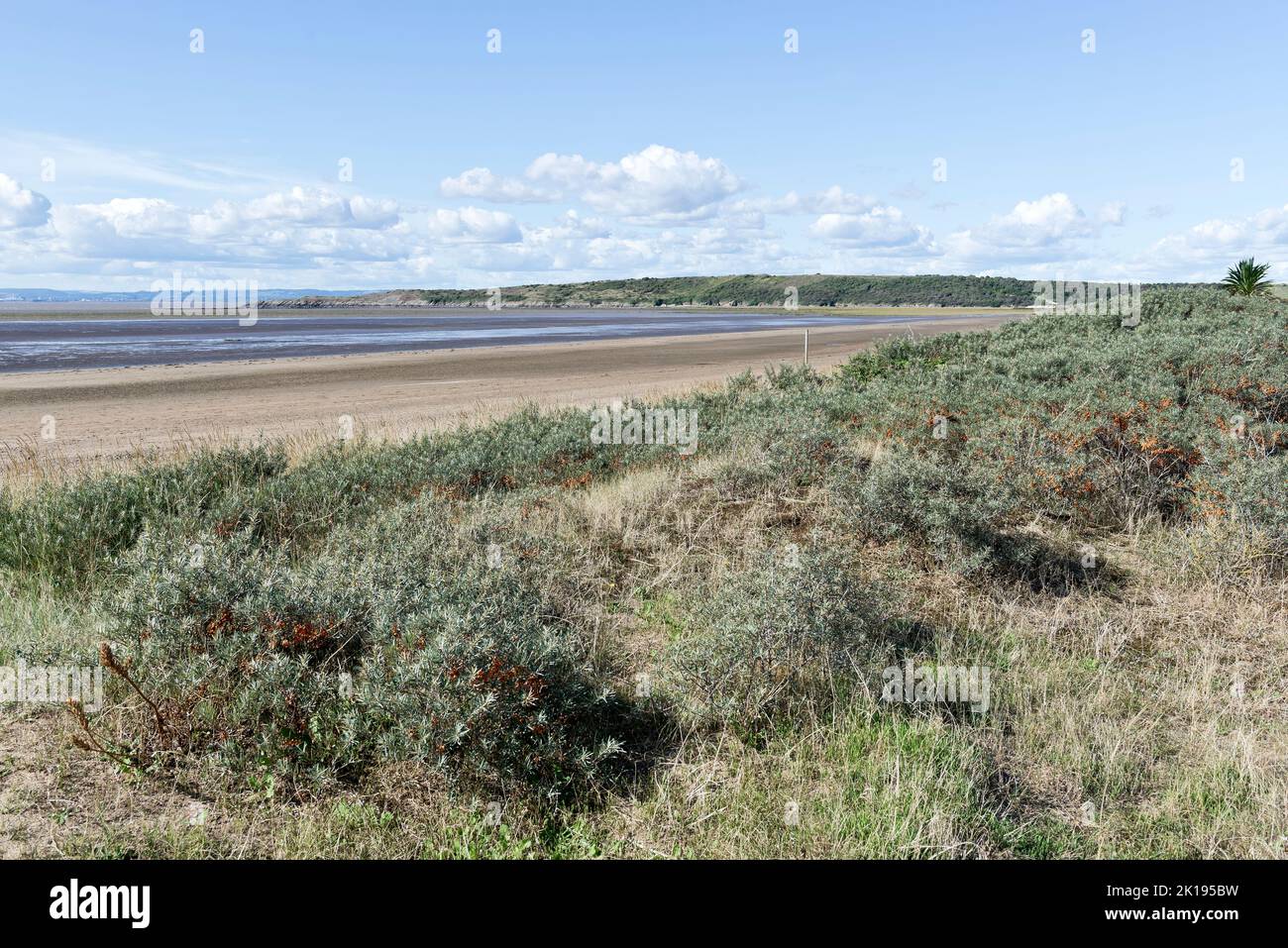 Sand Bay, North Somerset, England Stockfoto