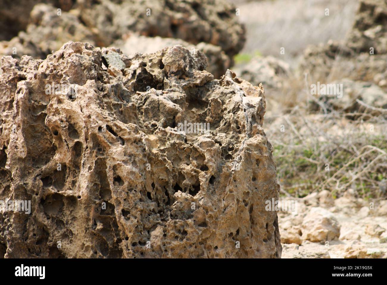 Poröse vulkanische Gesteinsformationen in der Wüste von Aruba Stockfoto