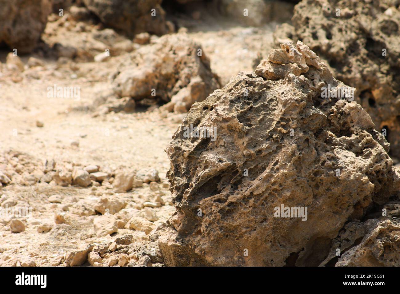 Poröse vulkanische Gesteinsformationen in der Wüste von Aruba Stockfoto