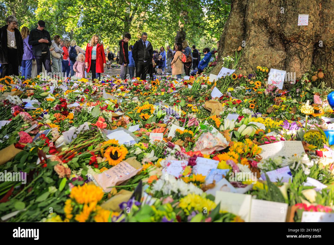 London, Großbritannien. 16. September 2022. Mitglieder der Öffentlichkeit zollen ihrer Majestät Königin Elizabeth II ihren letzten Respekt, indem sie Blumen, Karten, Spielzeug und andere kleine Ehrungen im Green Park, in der Nähe des Buckingham Palace, niederlegen. Tausende wandern um den wachsenden Standort, viele sind deutlich bewegt. Kredit: Imageplotter/Alamy Live Nachrichten Stockfoto