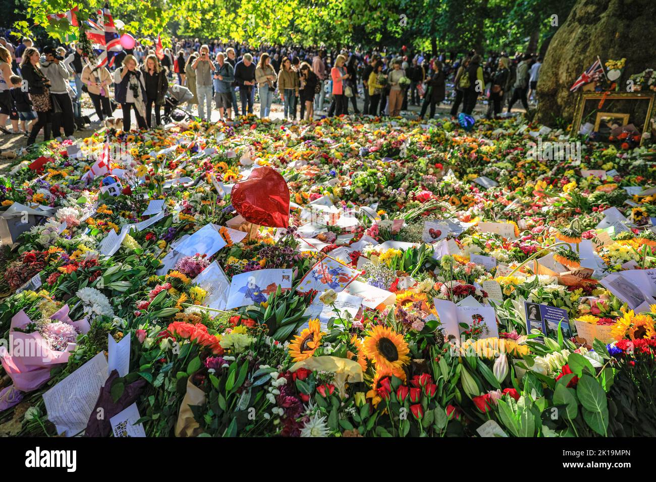 London, Großbritannien. 16. September 2022. Mitglieder der Öffentlichkeit zollen ihrer Majestät Königin Elizabeth II ihren letzten Respekt, indem sie Blumen, Karten, Spielzeug und andere kleine Ehrungen im Green Park, in der Nähe des Buckingham Palace, niederlegen. Tausende wandern um den wachsenden Standort, viele sind deutlich bewegt. Kredit: Imageplotter/Alamy Live Nachrichten Stockfoto
