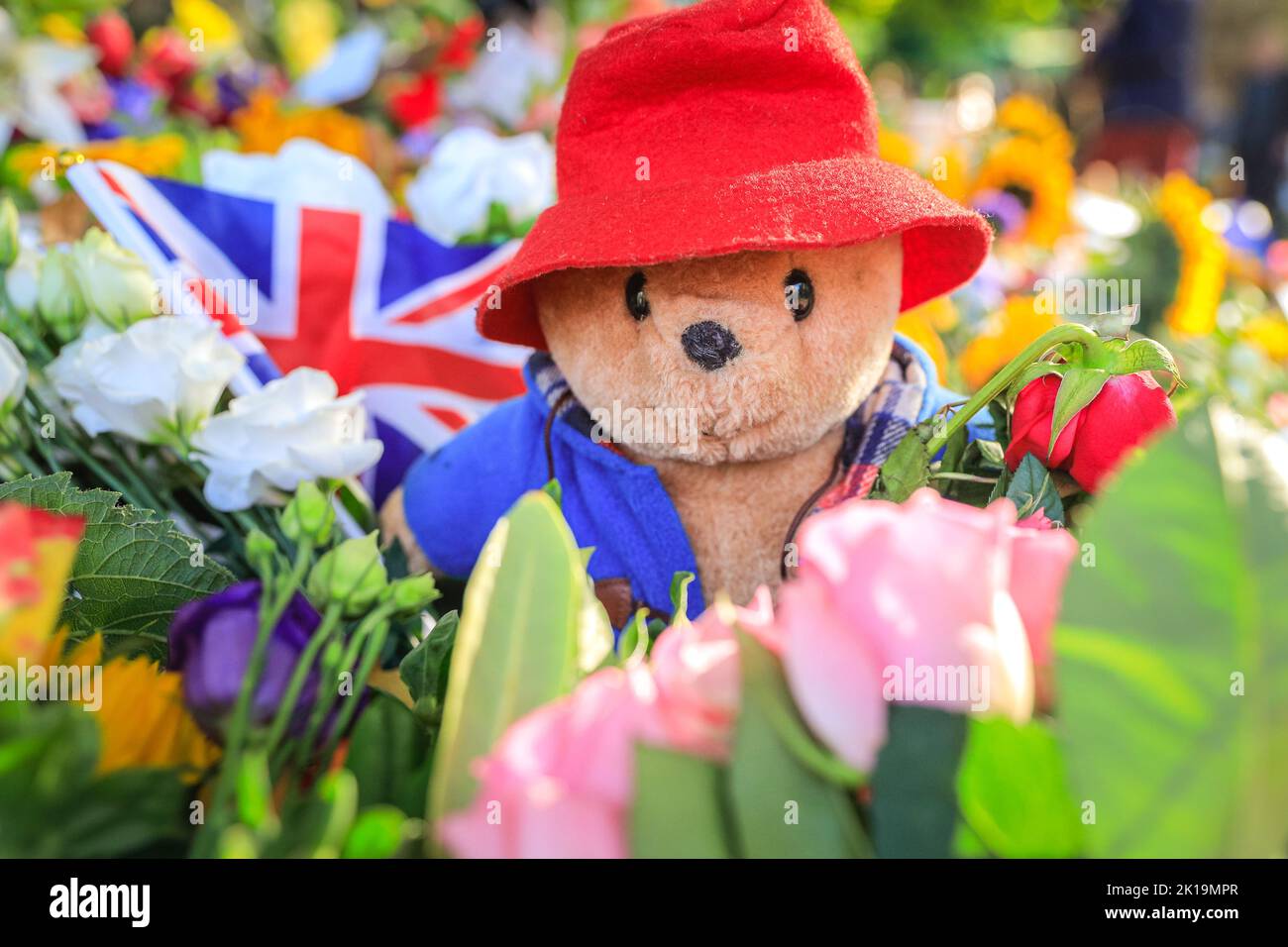 London, Großbritannien. 16. September 2022. Viele Paddington-Bären wurden in Bezug auf einen tv-Clib hinterlassen, der die Queen mit dem animierten Bären zeigte. Mitglieder der Öffentlichkeit zollen ihrer Majestät Königin Elizabeth II ihren letzten Respekt, indem sie Blumen, Karten, Spielzeug und andere kleine Ehrungen im Green Park, in der Nähe des Buckingham Palace, niederlegen. Tausende wandern um den wachsenden Standort, viele sind deutlich bewegt. Kredit: Imageplotter/Alamy Live Nachrichten Stockfoto