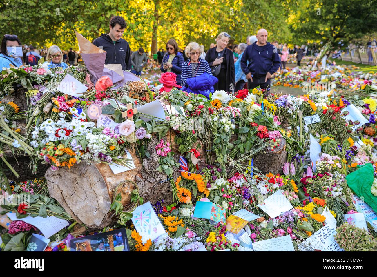 London, Großbritannien. 16. September 2022. Mitglieder der Öffentlichkeit zollen ihrer Majestät Königin Elizabeth II ihren letzten Respekt, indem sie Blumen, Karten, Spielzeug und andere kleine Ehrungen im Green Park, in der Nähe des Buckingham Palace, niederlegen. Tausende wandern um den wachsenden Standort, viele sind deutlich bewegt. Kredit: Imageplotter/Alamy Live Nachrichten Stockfoto