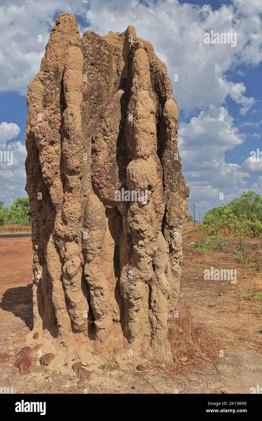 169 Termitenhügel in der Nähe des Kakadu National Park Western Limits. Northern Territory – Australien. Stockfoto