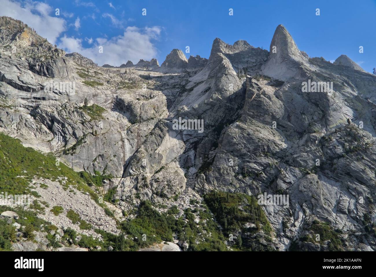 Weißer Granitberg mit Alpinen entlang des High Sierra Trails. Stockfoto