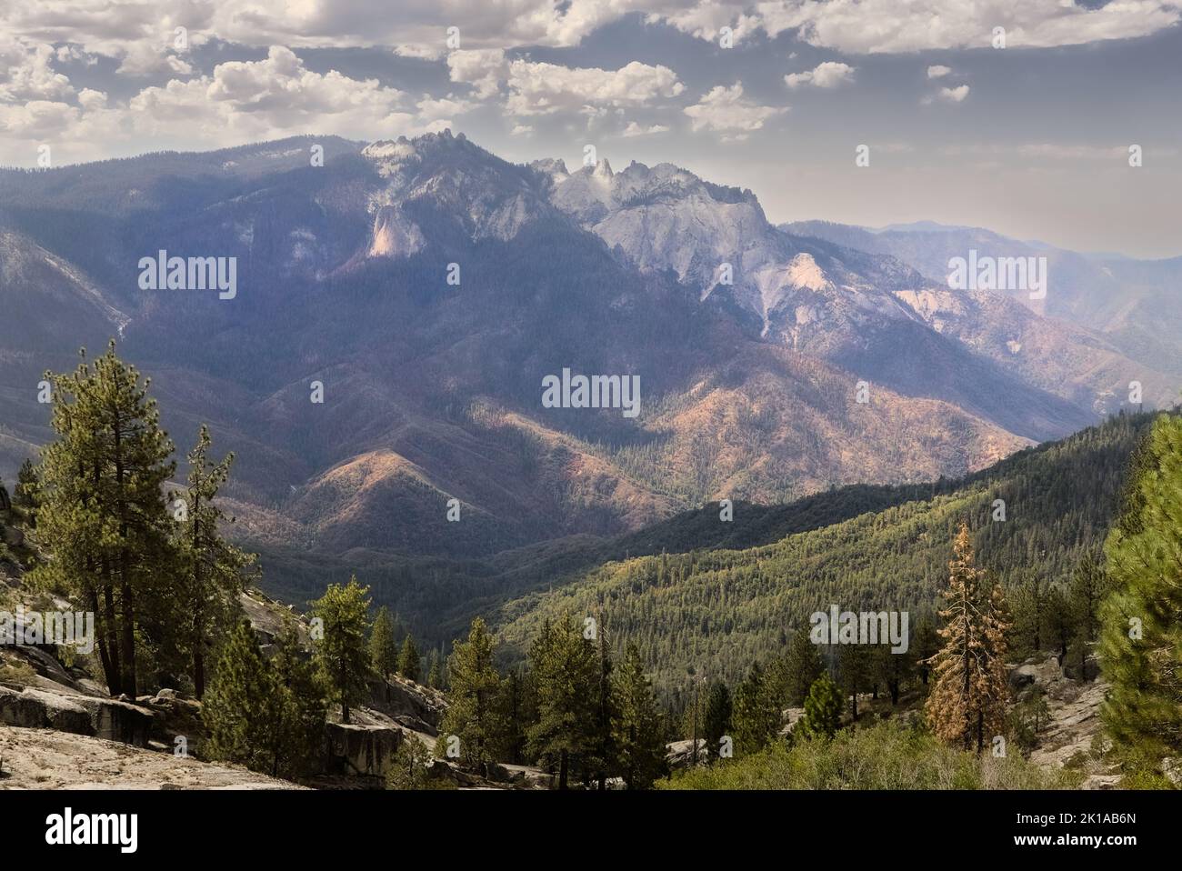 Weißer Granitberg mit Alpinen entlang des High Sierra Trails. Stockfoto