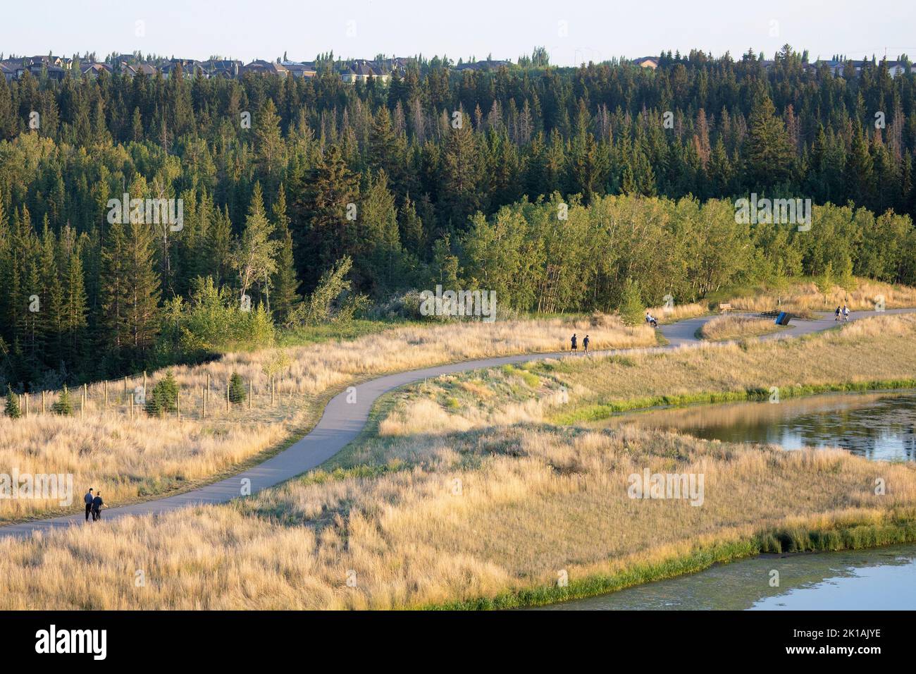 Wanderweg durch den Fish Creek Provincial Park, einem beliebten Stadtpark in Calgary Stockfoto