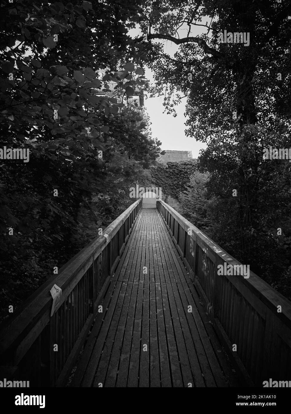 Schwarz-weiß von der Brücke, die zum Bogen führt, umgeben von Bäumen. Stockfoto