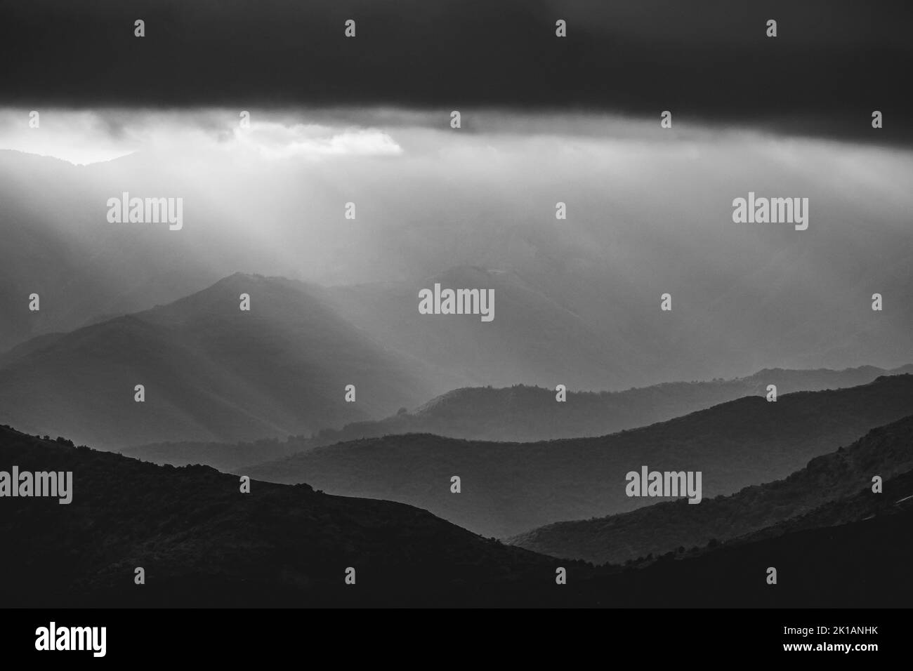 Eine Luftaufnahme der Berglandschaft, die von wachsenden dichten Bäumen in Schwarz-Weiß umgeben ist Stockfoto