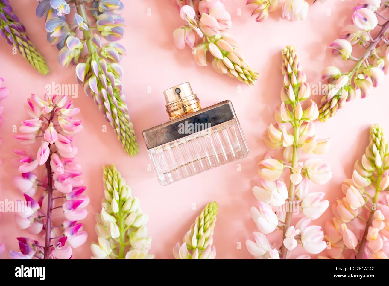 Unbranded vintage quadratische Parfüm Sprühflasche und rosa Lupinenblüten auf rosa Hintergrund. Vorderansicht oben, Sommerflachlage, Mockup, Schablone. Stockfoto
