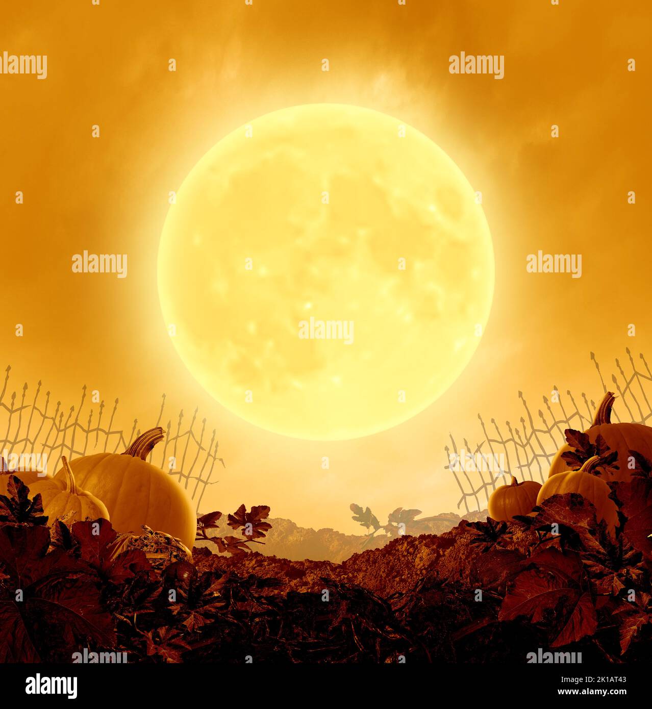 Halloween-Nachtposter und Herbstparty-Hintergrund mit einem orangefarbenen Mond, der auf einem grungigen alten gruseligen Kürbis-Patch im 3D-Illustrationsstil leuchtet. Stockfoto