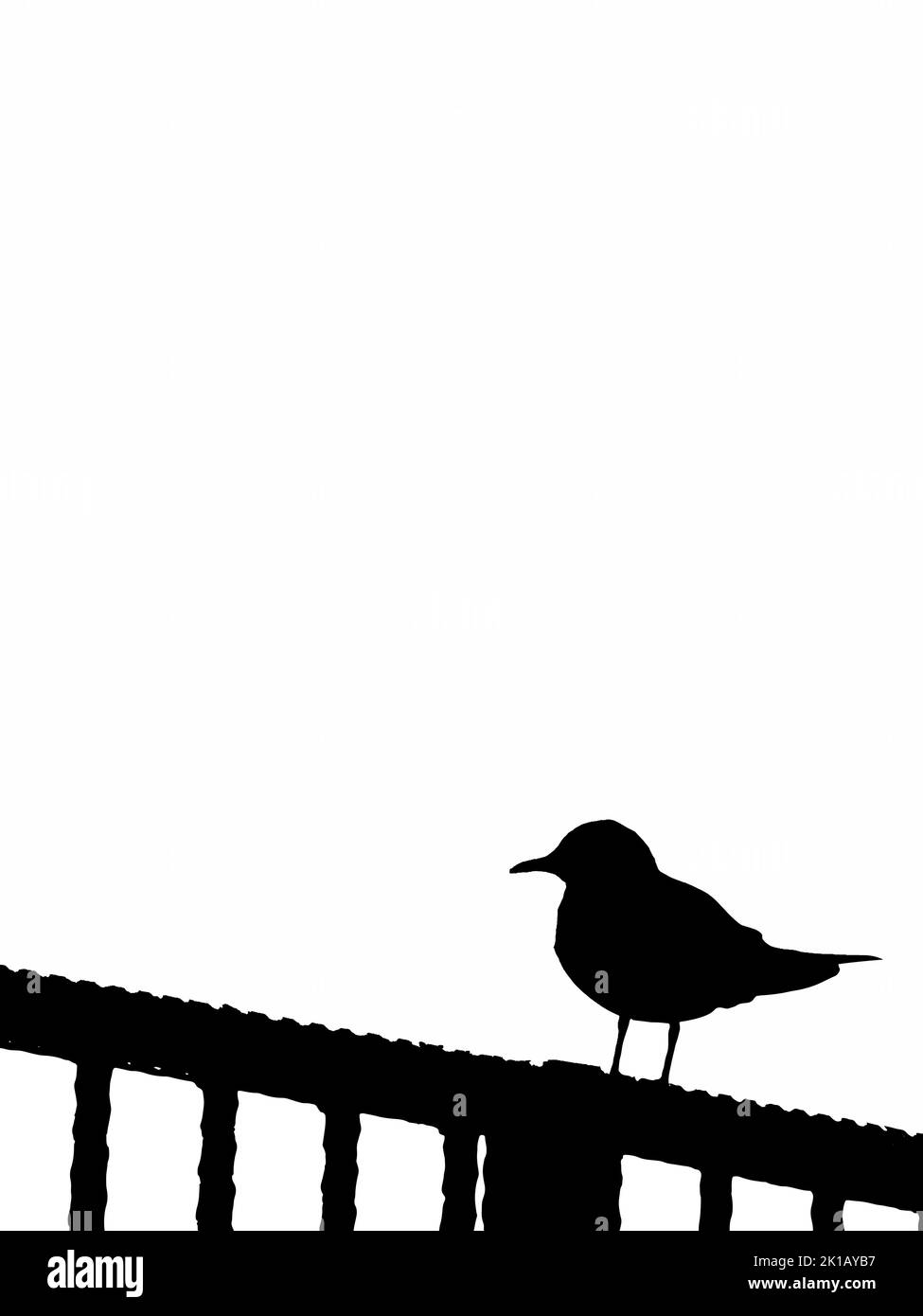 Schwarze Silhouette der Möwe, die auf Geländern auf weißem Hintergrund thront. Silhouette der Möwe. Isolierte Zeichnung. vektordarstellung Stock Vektor