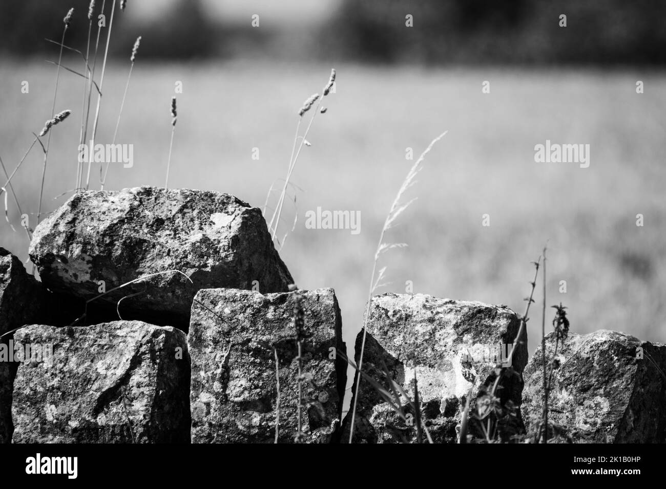 Trockenmauer in Landschaft Stockfoto