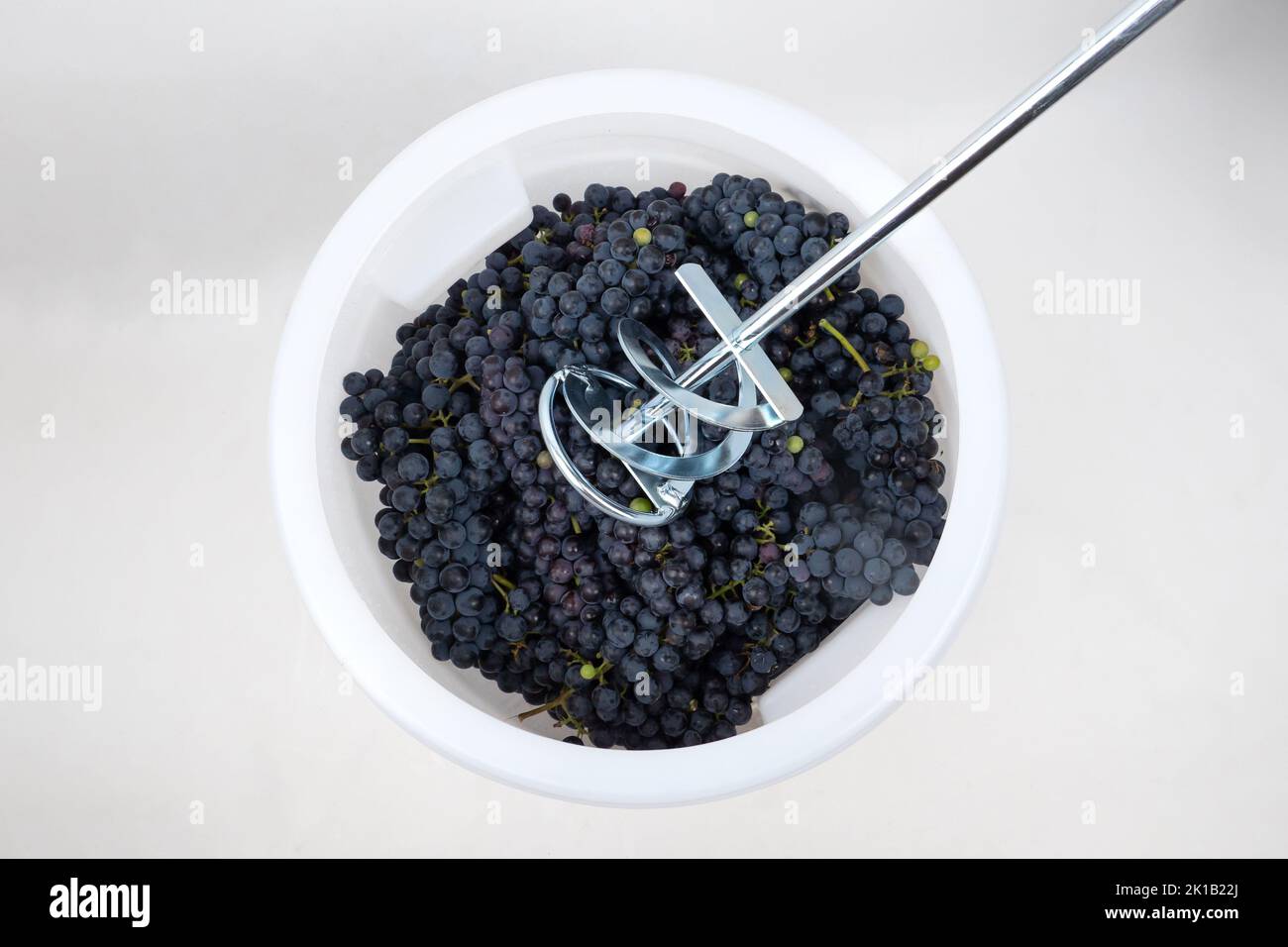 Mixer Crush frische Trauben in einem Behälter, den Prozess der Herstellung von Rotwein. Stockfoto