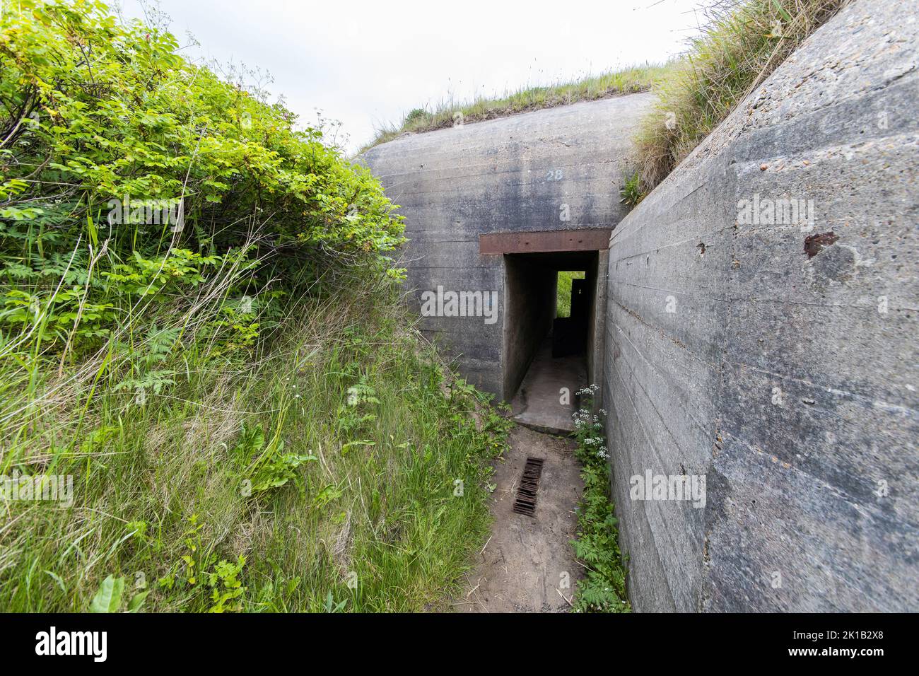 Alter Bunker aus dem Weltkrieg 2 an der dänischen Küste in Hirtshals. Stockfoto