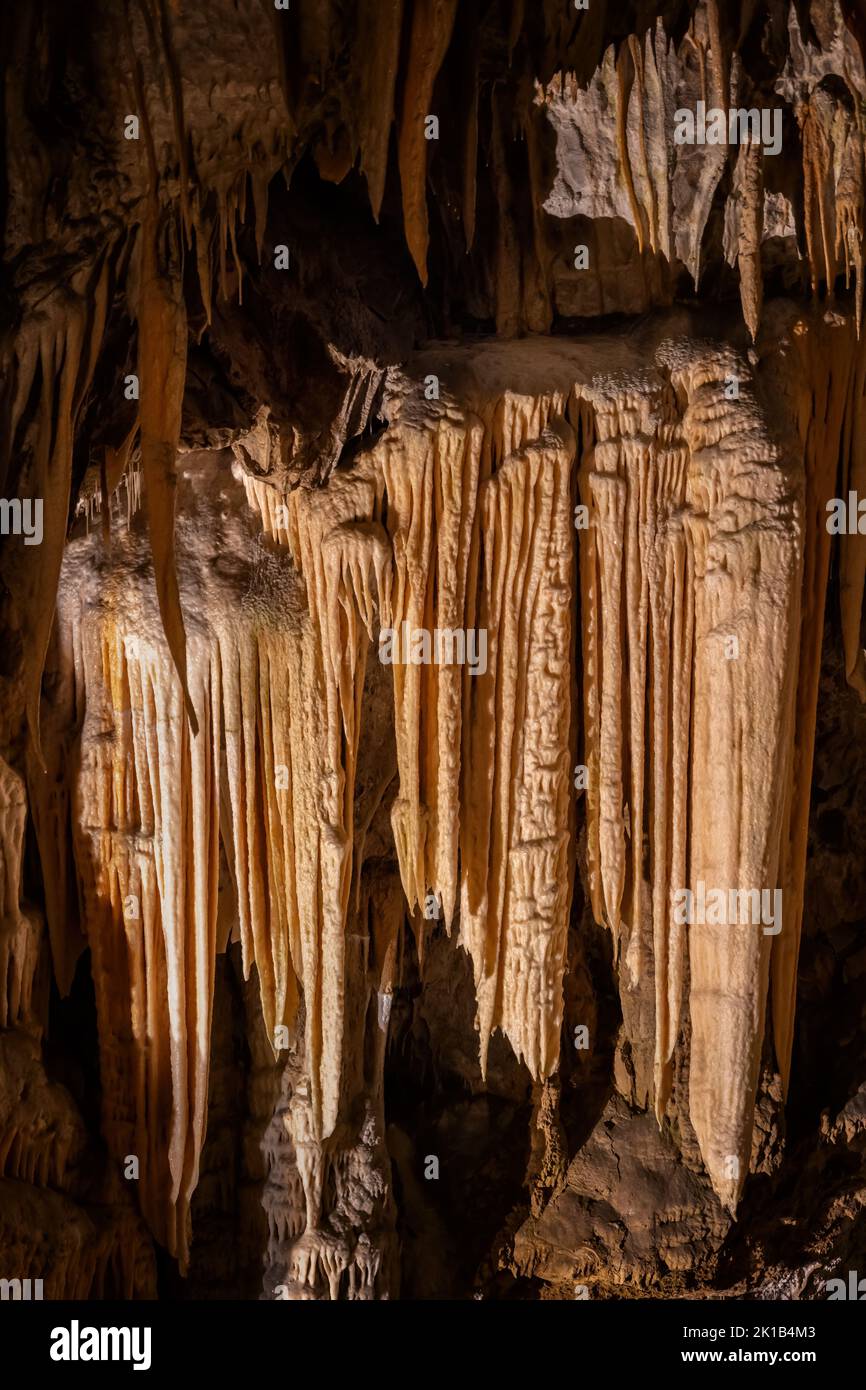 Flowstone Gesteinsformation in der Postojna Höhle (Postojnska jama) in Slowenien. Stockfoto