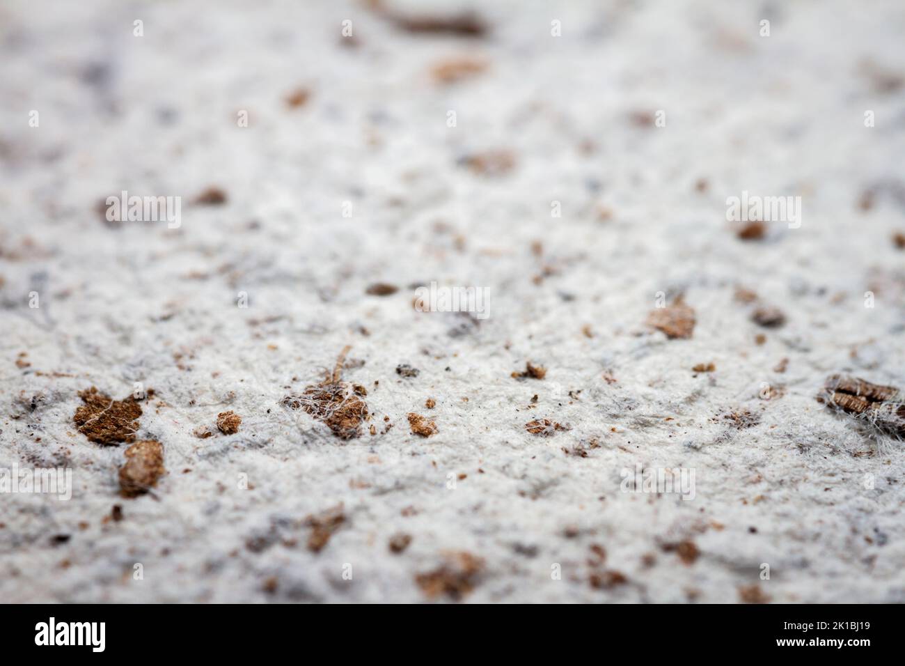 Extreme Nahaufnahme von grauem handgemachtem Papier mit geringer Feldtiefe. Stockfoto