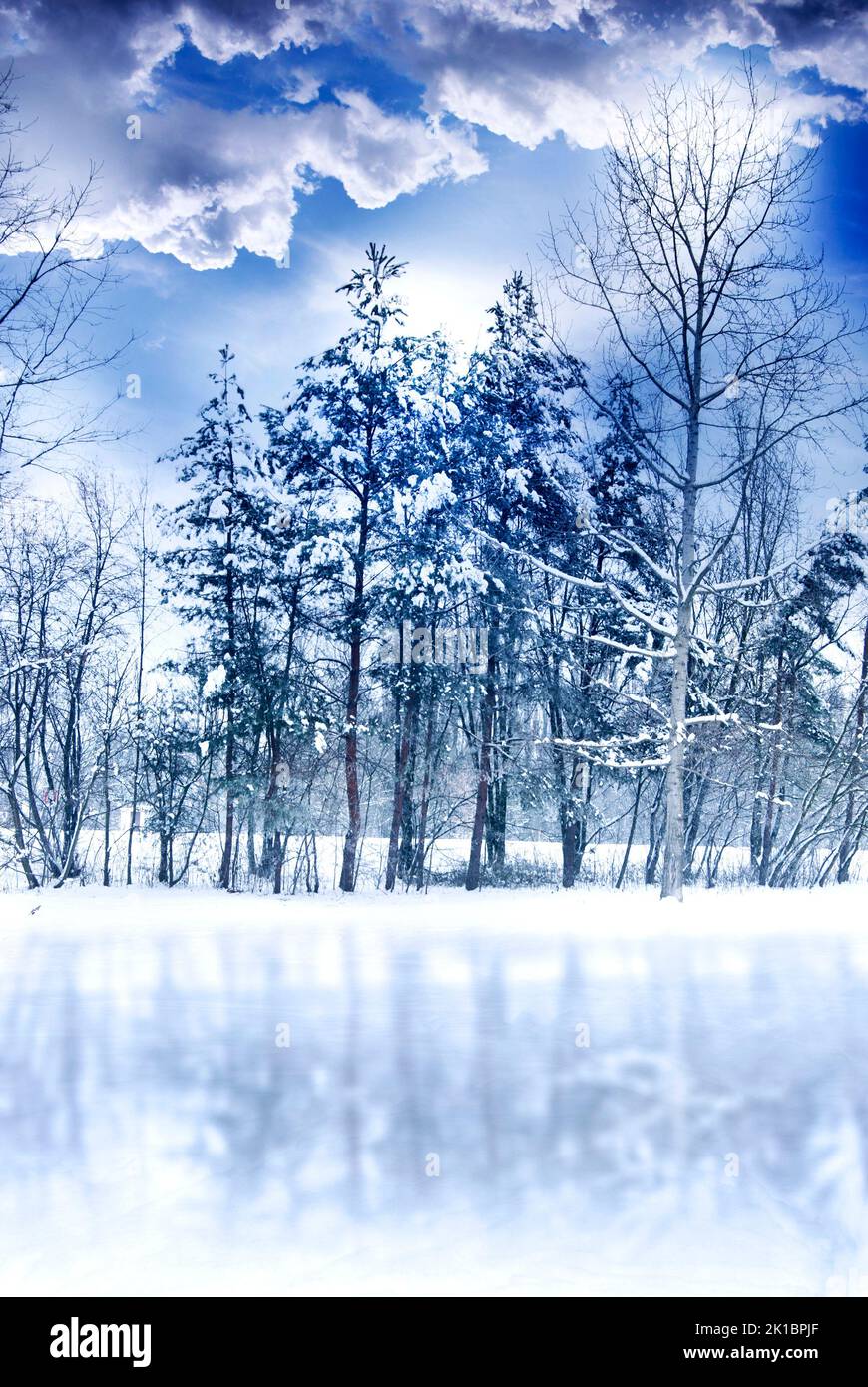 Romantische Winterlandschaft mit Schnee, Bäumen Nadelbäumen, blauem Himmel mit weißen Wolken und Stockfoto