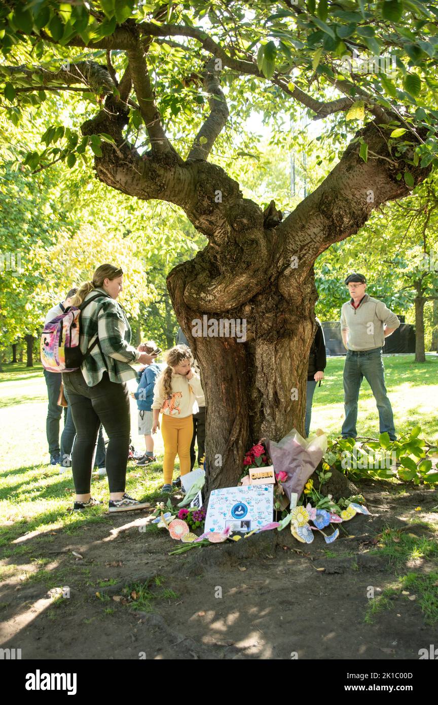 London, Großbritannien, 17.. September 2022. Kleines Mädchen, das eine Hommage an die Königin unter einem Baum im St James's Park bewundert. Cristina Massei/Alamy Live News Stockfoto