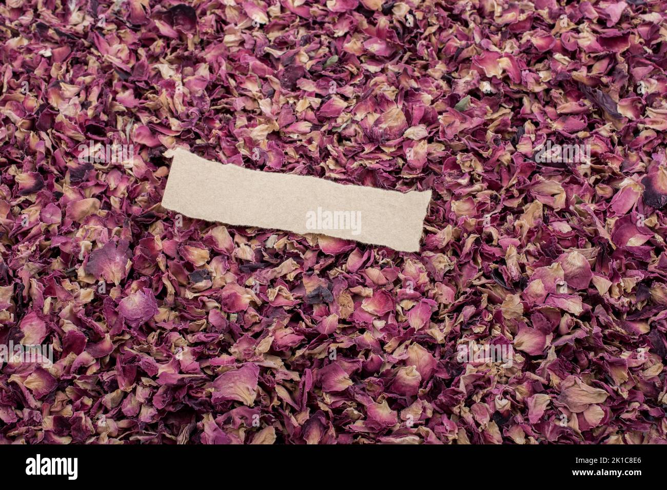 Zerrissenes Papier auf eine Kiste gefüllt mit trockenem Rosenblätter Stockfoto