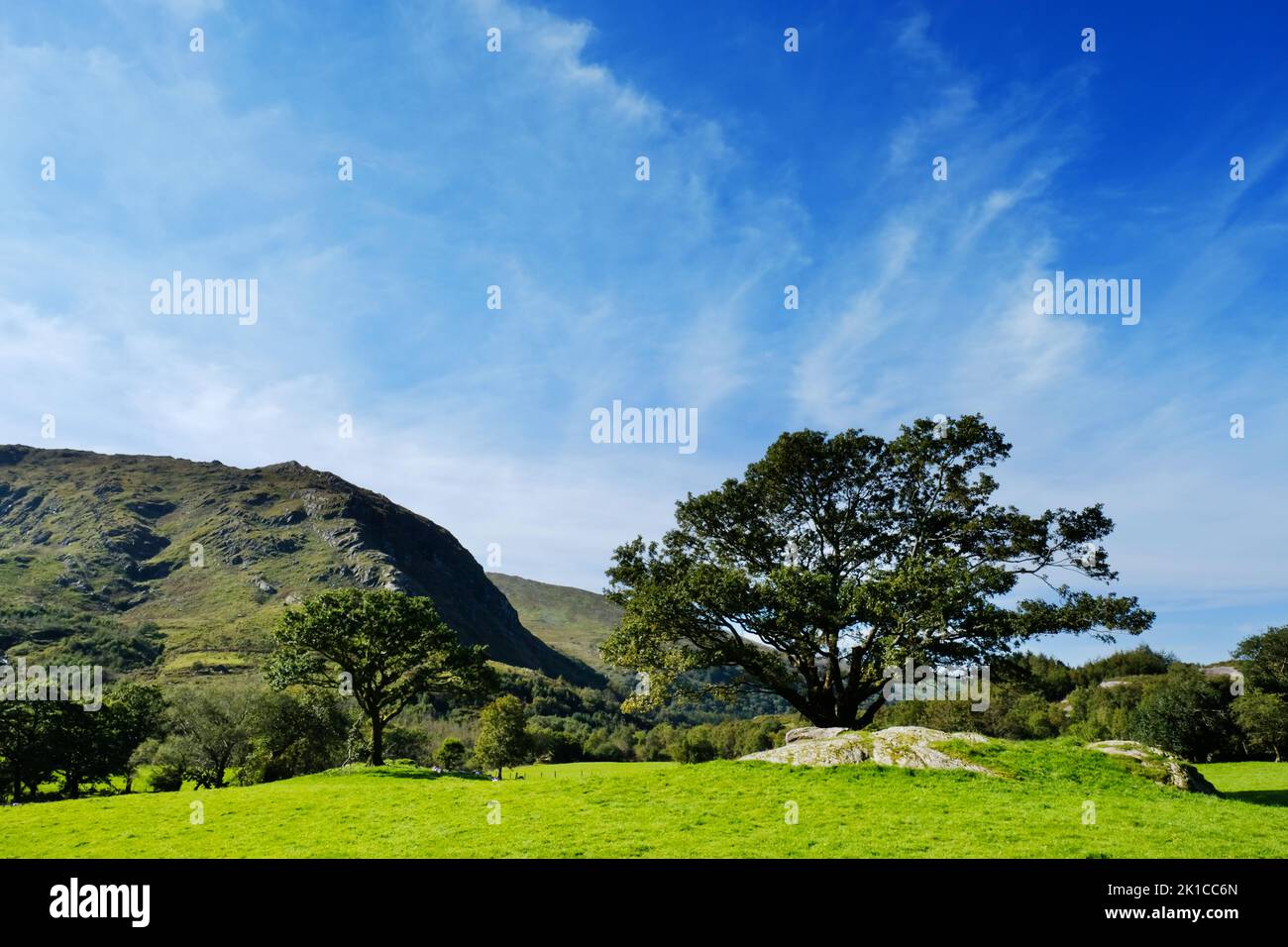 Ackerland in Gleninchaquin Park, County Kerry, Irland - John Gollop Stockfoto