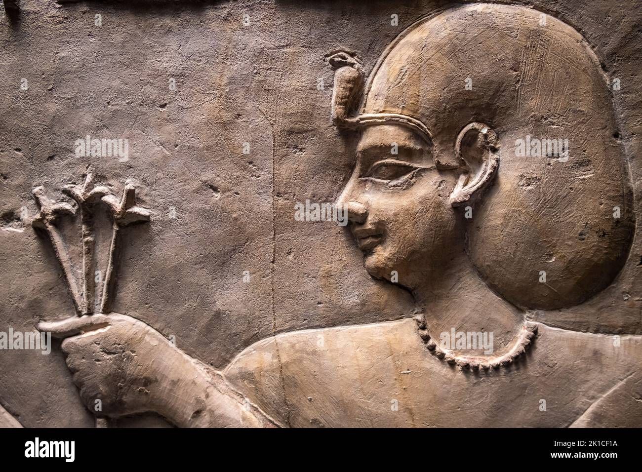 Relief des Tempels von pharao Ptolemäus I., Kalkstein, ptolemäische Dynastie, Tempel von Hathor, Kom Abu Billo, Ägypten, Sammlung des British Museum. Stockfoto