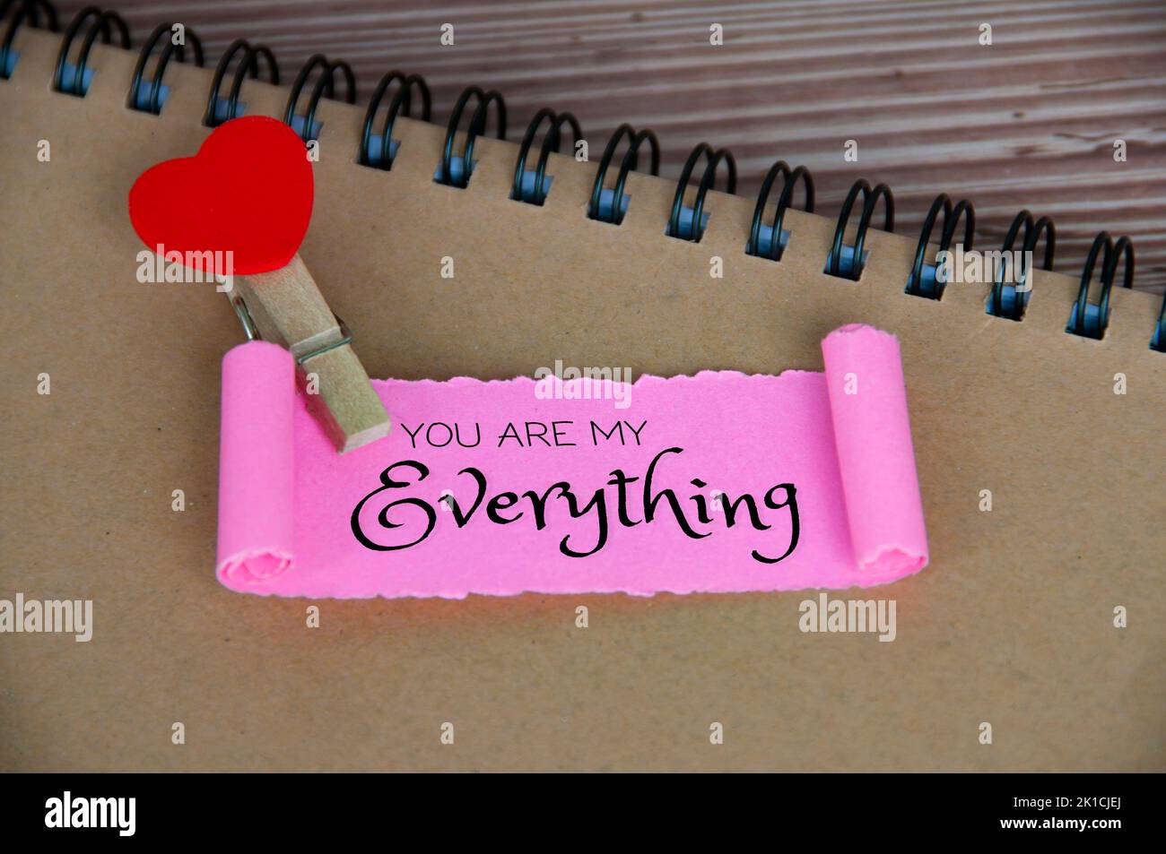 Du bist mein Everything Text auf zerrissenem rosafarbenem Papier. Romantik und Beziehungskonzept. Stockfoto