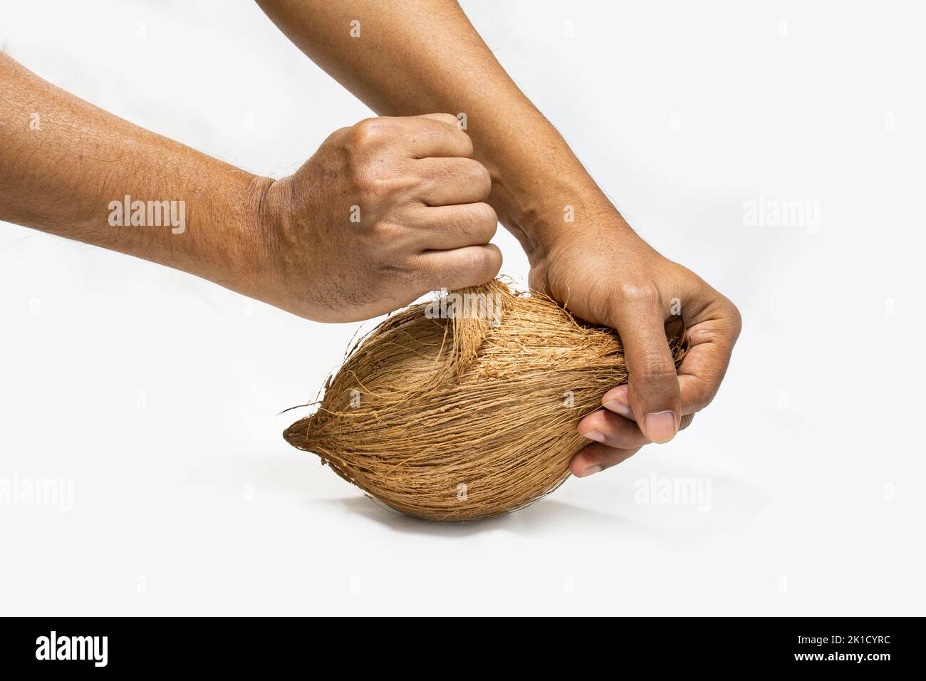 Ein Mann, der versucht, die Faser einer Kokosnuss mit beiden Händen abzuschälen. Wie man hält und hält, um die Nuss aus einer reifen Kokosnuss zu ziehen. studio-Shoot auf weißem Backgro Stockfoto