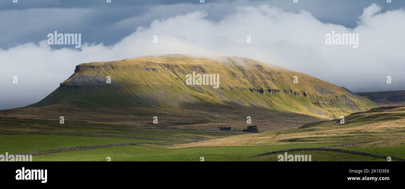 Pen-y-ghent Berg in den Yorkshire Dales im frühen Herbst mit Seitenlicht und Bergnebel. Stockfoto