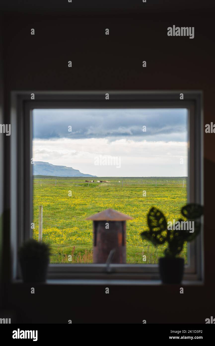 Blick auf das Hausfenster durch das Pferd auf dem Feld auf dem Ackerland Stockfoto
