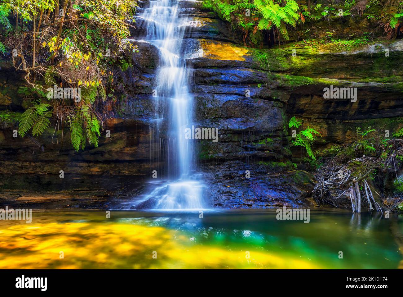 Der landschaftlich reizvolle wasserfall gordon Falls in den Blue Mountains von Australien fällt in den Pool von Siloam. Stockfoto