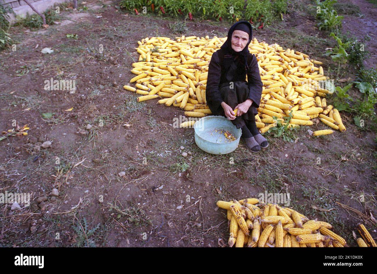 Stejaru, Rumänien, 2000. Agora Rafte, eine 110-jährige Frau (die schließlich 2007 starb). In Griechenland geboren, aus Aromanien stammend, ließ sie sich als Schutz gegen die Türken, die Körpertätowierungen als Sünde und Fluch betrachteten, ein Kreuz tätowieren, das traditionell auf ihre Stirn tätowiert wurde. In ihrem fortgeschrittenen Alter war sie immer noch täglich im Haus unterwegs. Stockfoto