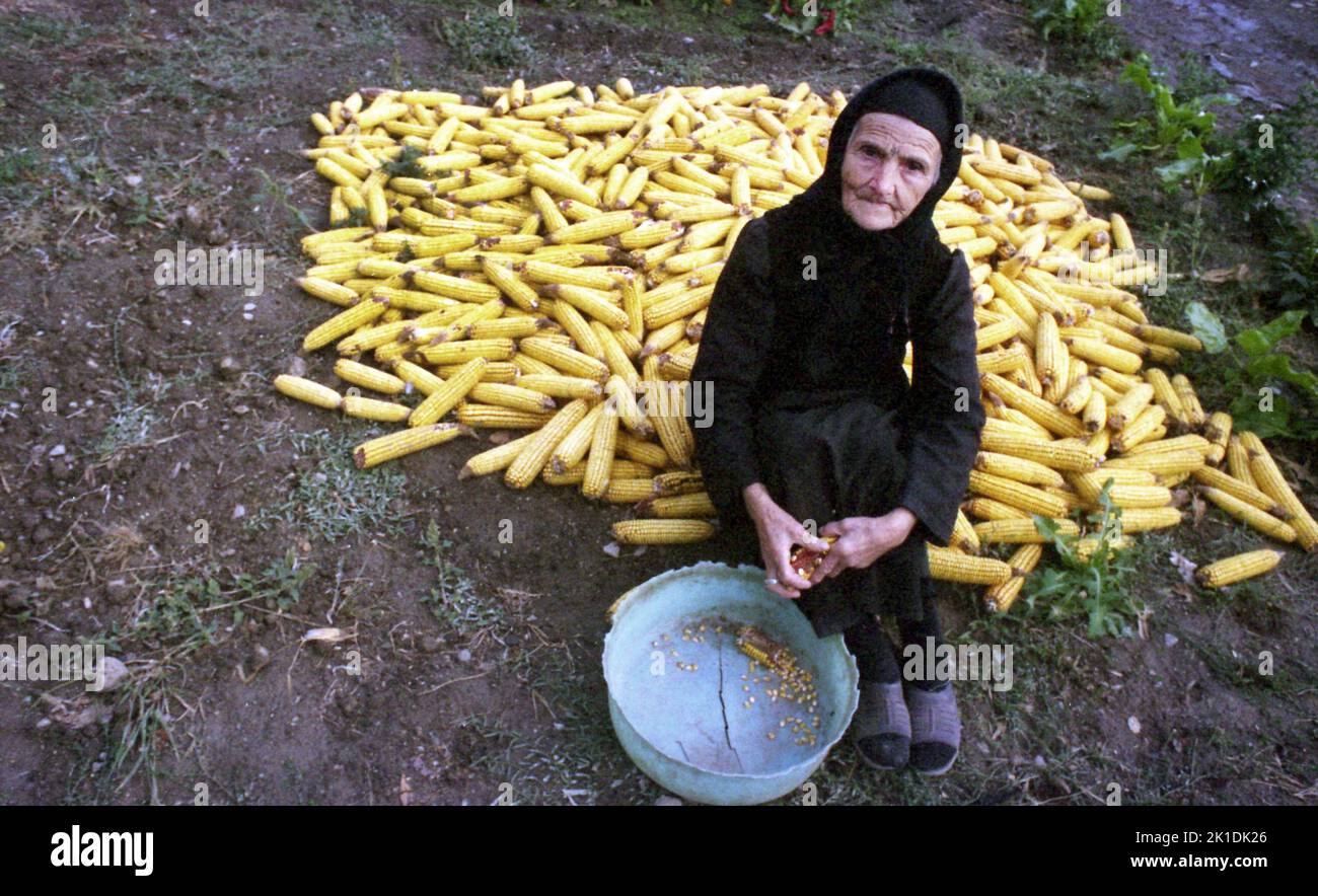 Stejaru, Rumänien, 2000. Agora Rafte, eine 110-jährige Frau (die schließlich 2007 starb). In Griechenland geboren, aus Aromanien stammend, ließ sie sich als Schutz gegen die Türken, die Körpertätowierungen als Sünde und Fluch betrachteten, ein Kreuz tätowieren, das traditionell auf ihre Stirn tätowiert wurde. In ihrem fortgeschrittenen Alter war sie immer noch täglich im Haus unterwegs. Stockfoto