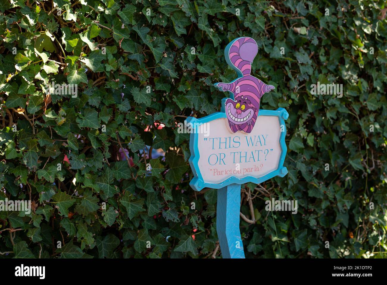 Ein Schild mit der Aufschrift „This Way or That“ und der „Che-Hire Cat“ gegen einen Busch in Disneyland, Paris Stockfoto