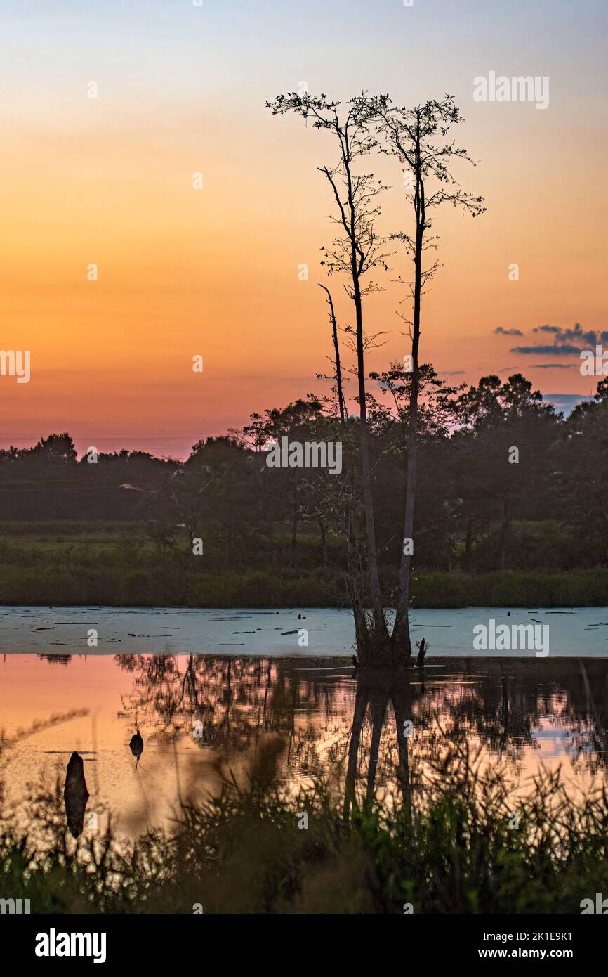Der orangefarbene Himmel spiegelte sich im Sommer in Alabama in einem Teich wider. Stockfoto
