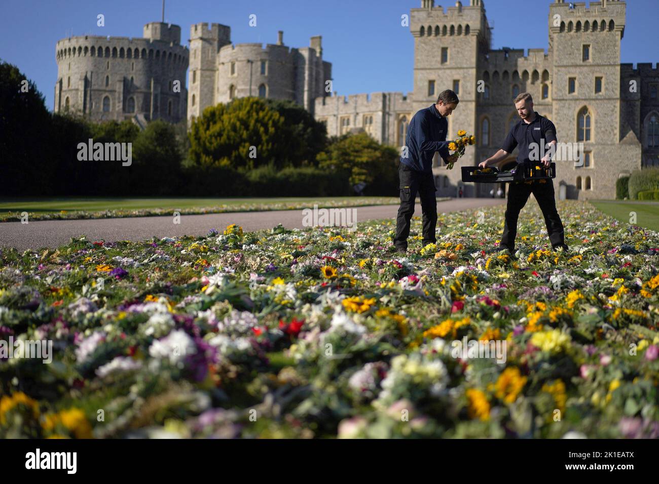 Die Mitarbeiter des Crown Estate bringen die von Mitgliedern der Öffentlichkeit vor Windsor Castle geschenkten Blumengebete auf den Cambridge Drive, in der Nähe des Long Walk, Windsor, vor der Beerdigung von Königin Elizabeth II. Am Montag. Bilddatum: Samstag, 17. September 2022. Stockfoto