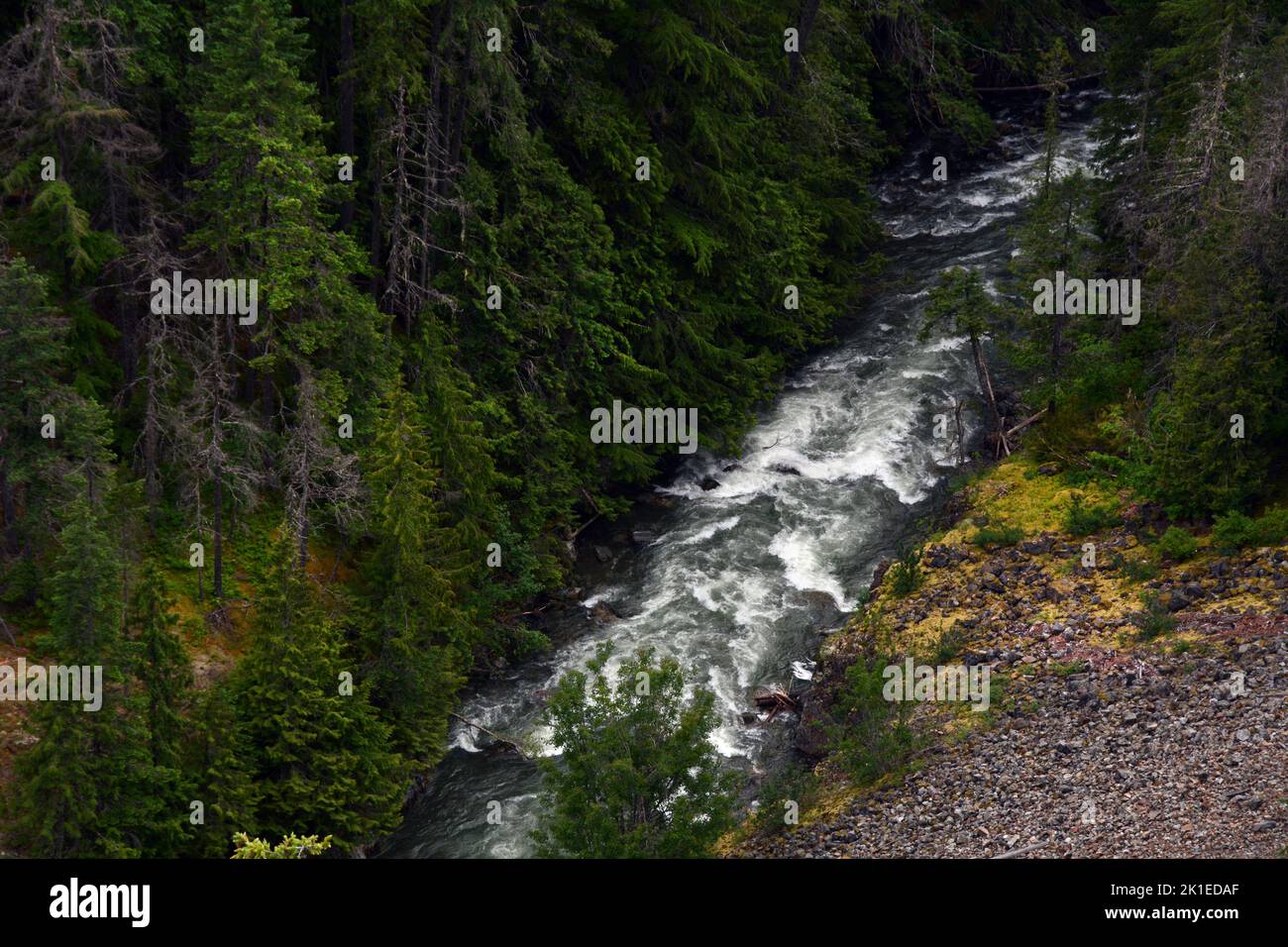 Der Skagit River fließt durch den Skagit Valley Provincial Park in der North Cascades Bergkette, British Columbia, Kanada. Stockfoto