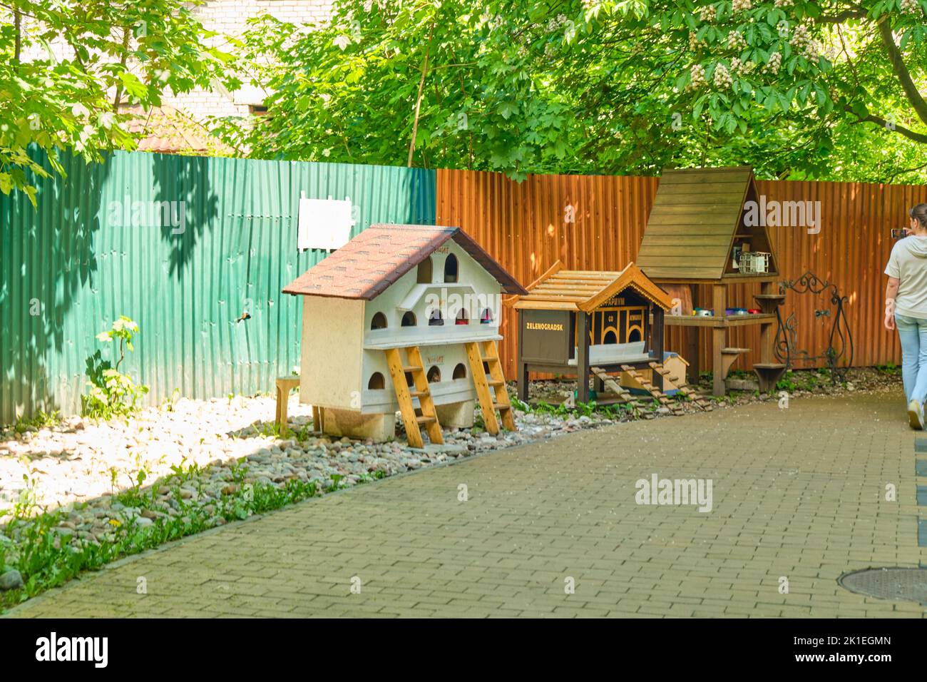 Zelenogradsk, Russland - 02. Jun 2021: Kurortny Prospekt im Sommer. Touristen laufen die Straße entlang Stockfoto