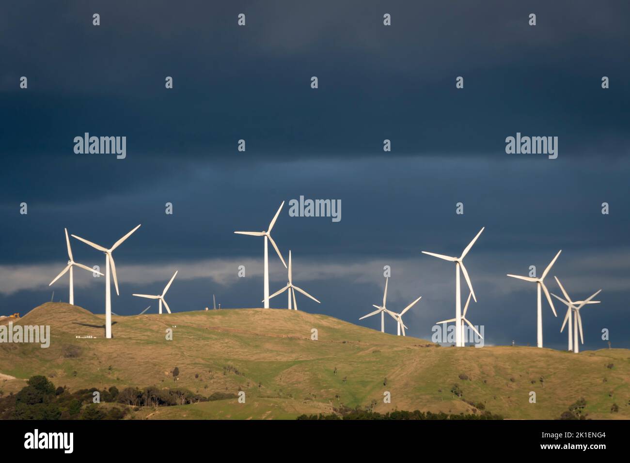 Windturbine in der Nähe von Ashurst, Tararua District, North Island, Neuseeland Stockfoto