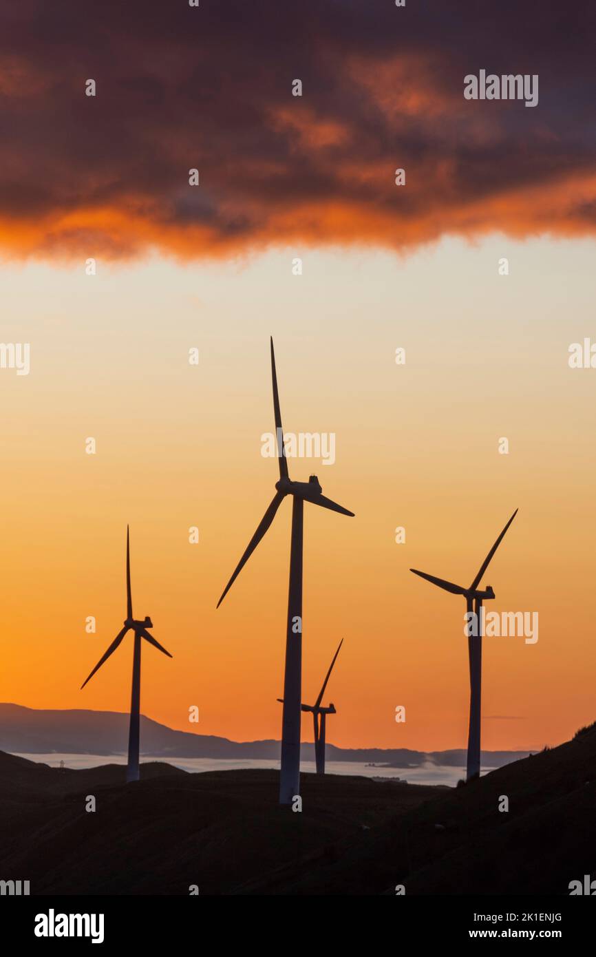 Windturbinen im Morgengrauen, in der Nähe von Woodville, Tararua District, North Island, Neuseeland Stockfoto