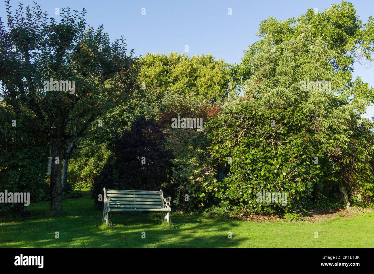 Blaue Bank in einem grünen Garten Stockfoto