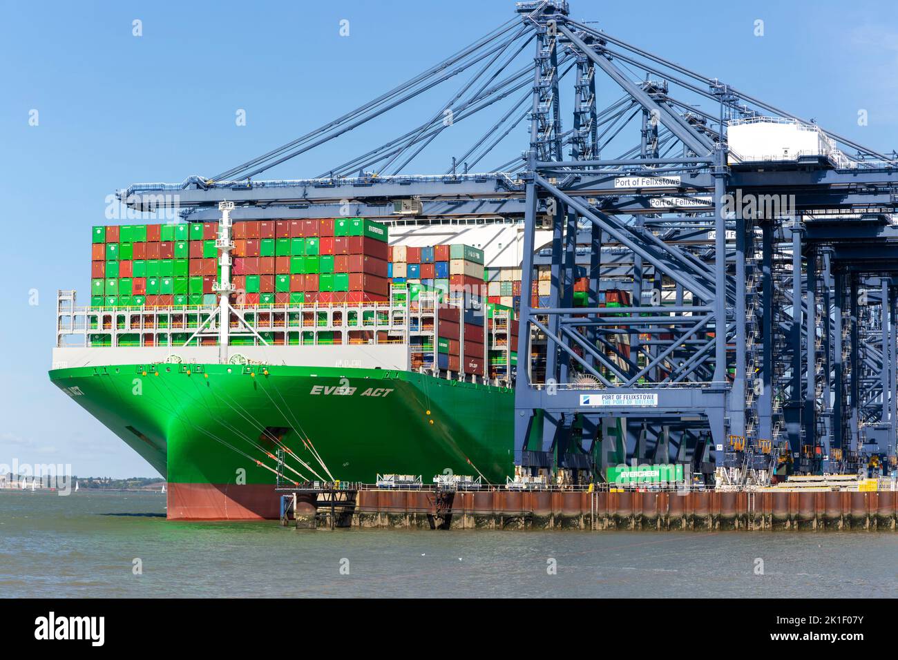 Evergreen Ever Act Containerschiff- und Portalkrane am Kai, Port of Felixstowe, Suffolk, England, Großbritannien Stockfoto
