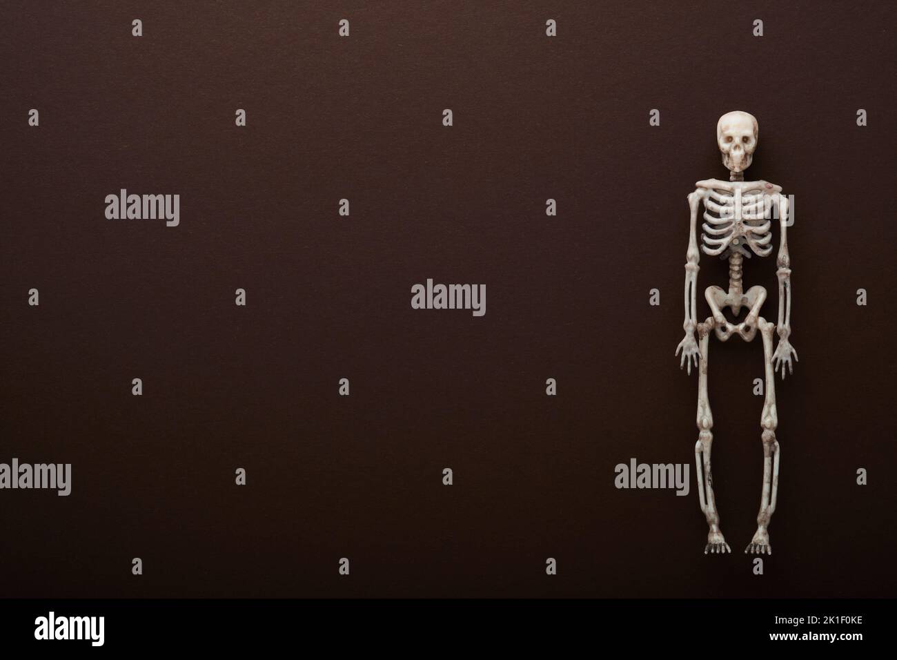 Halloween Skelett Hintergrund. Schwarze Papier Fledermaus Silhouetten auf braunem oder dunklem Hintergrund. Herbstschmuck. Halloween-Konzept. Draufsicht. Stockfoto