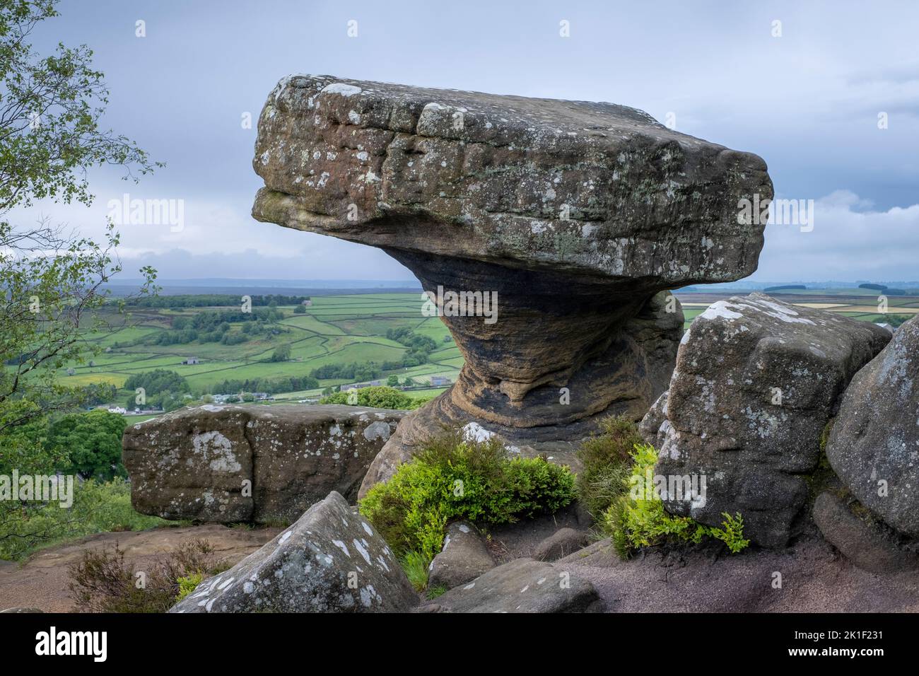 Brimham Rocks in Nidderdale, die Yorkshire Dales, England Stockfoto