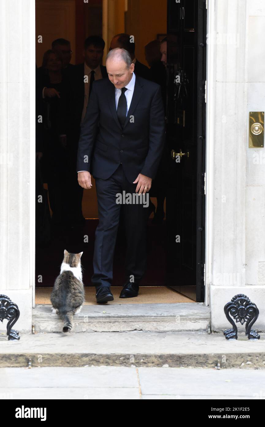 London, Großbritannien. 18. September 2022. Michael Martin Irish Taoiseach verlässt heute Morgen nach einem Treffen mit dem britischen Premierminister Liz Truss die Downing Street No10 und wird von Larry the Cat begrüßt.Quelle: MARTIN DALTON/Alamy Live News Stockfoto