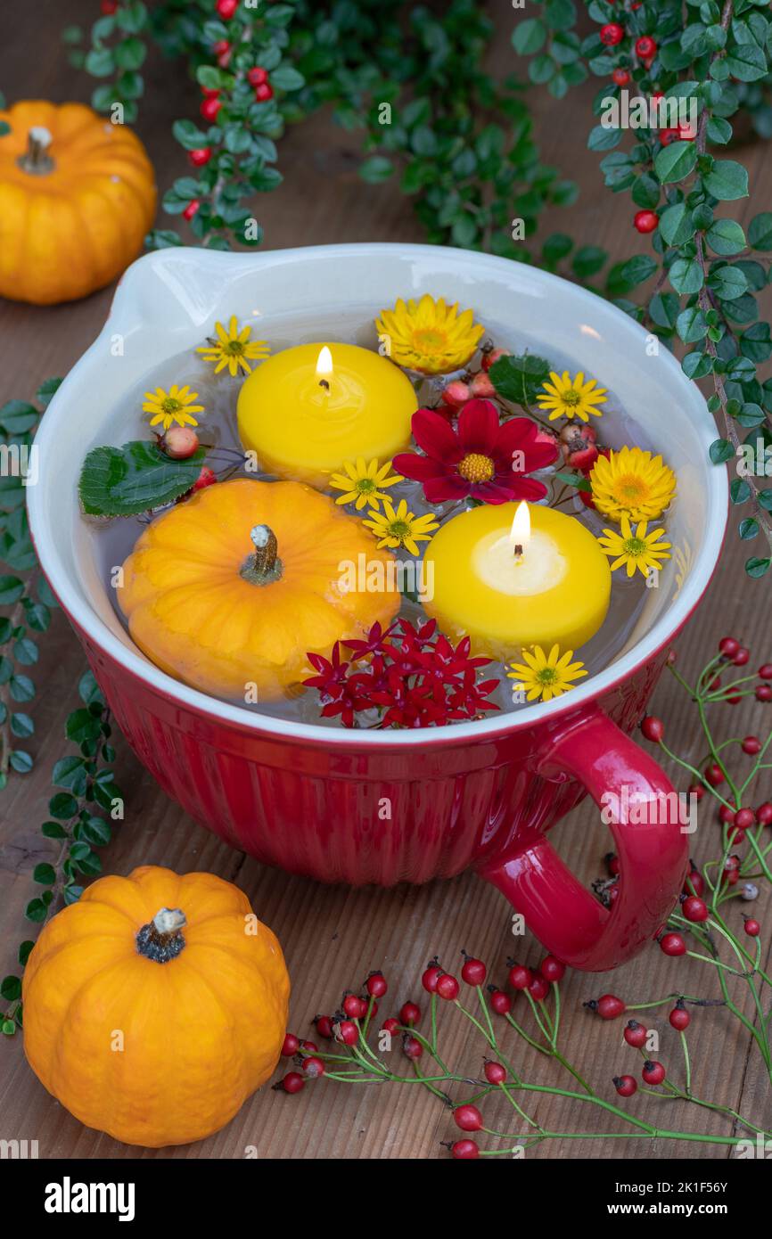 Dekoration mit Kürbissen, schwebenden Kerzen und Blumen in Porzellanschale Stockfoto