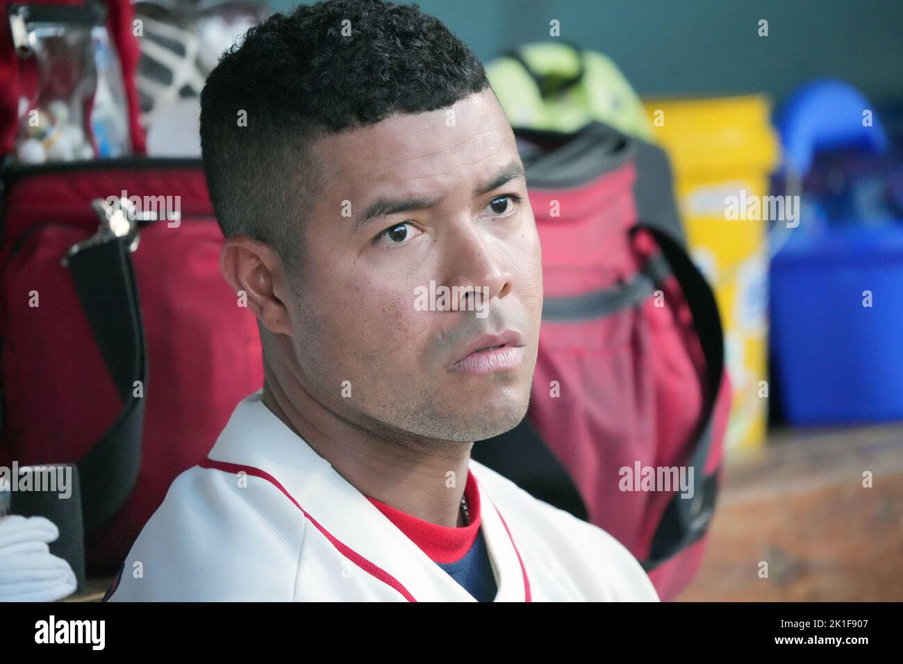 St. Louis, Usa. 17.. Juni 2022. St. Louis Cardinals starten Pitcher Jose Quintana beobachtet die Aktion gegen die Cincinnati Reds aus dem Dugout im dritten Inning im Busch Stadium in St. Louis am Samstag, 17. September 2022. Foto von Bill Greenblatt/UPI Credit: UPI/Alamy Live News Stockfoto